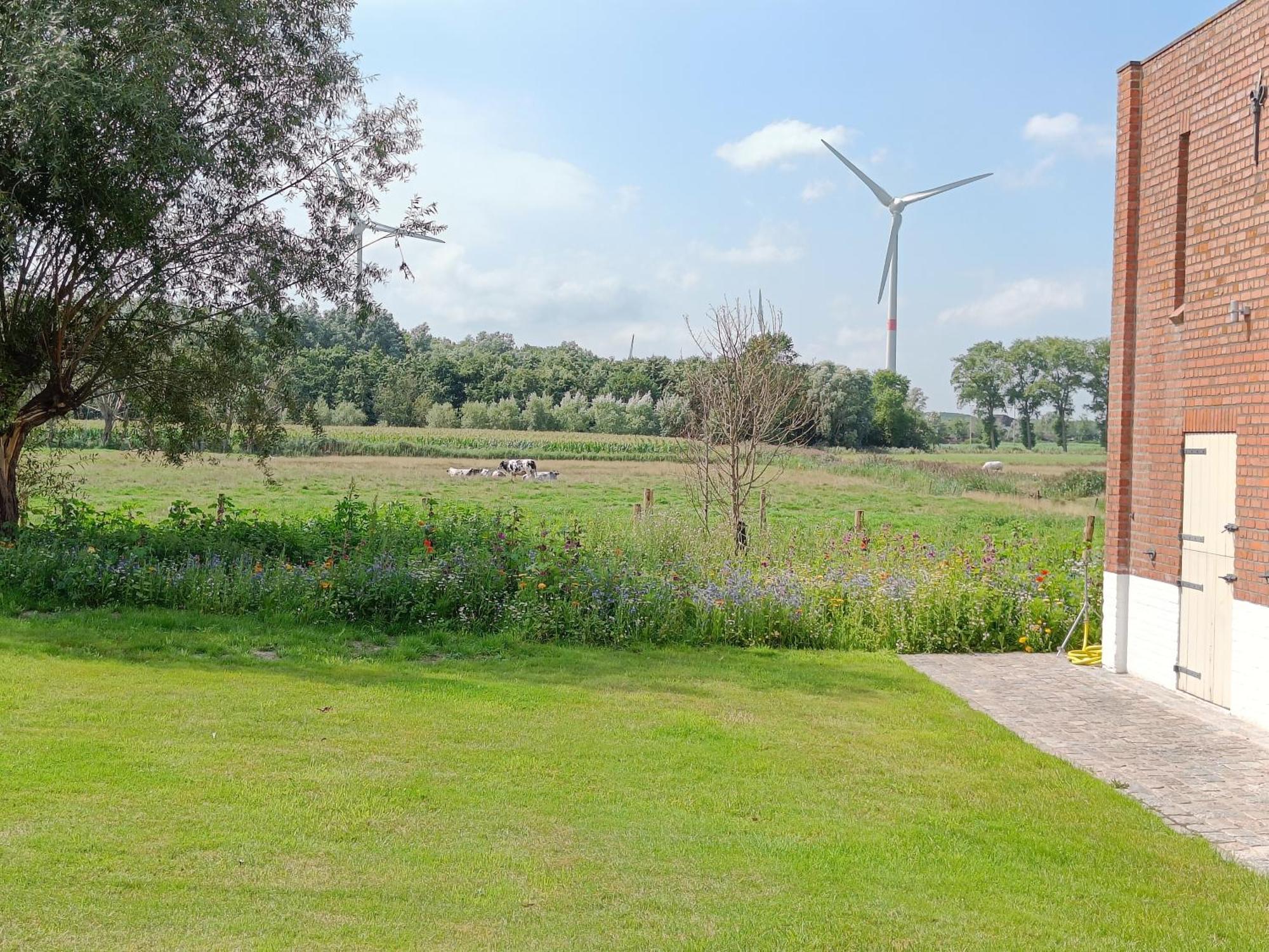 Beautiful 3-Bedroom - 3-Bathroom Appartment Pendula Bruges Esterno foto